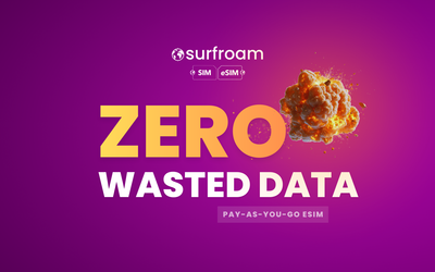 Pay-As-You-Go vs Data Packages eSIM: Which Saves More Money? (2026)